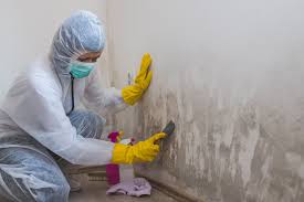 Best Asbestos and Lead Testing During Mold Inspection  in Fussels Corner, FL